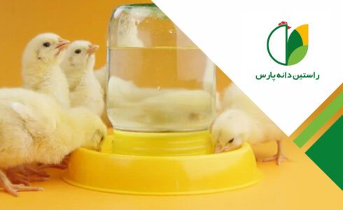 کیفیت آب در پرورش طیور