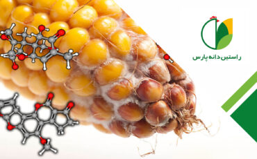 مایکوتوکسین ها در صنعت طیور