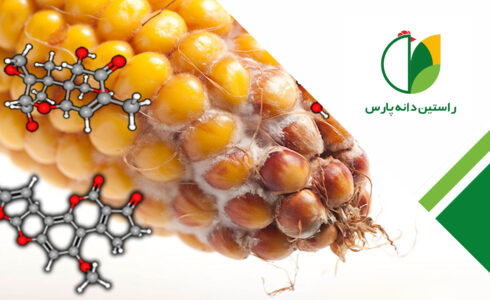 مایکوتوکسین ها در صنعت طیور