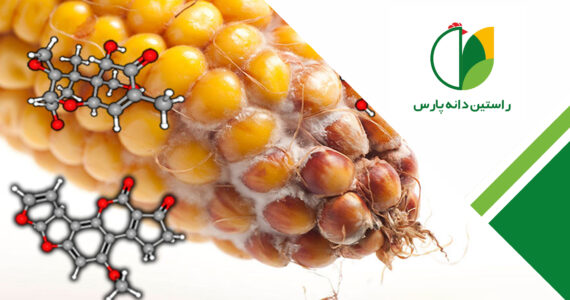 مایکوتوکسین ها در صنعت طیور