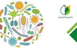 راهکارهای موجود برای تنظیم اکوسیستم مجرای گوارش