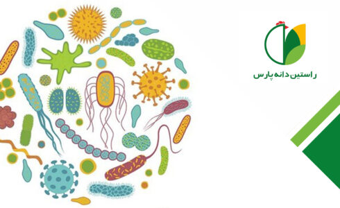 راهکارهای موجود برای تنظیم اکوسیستم مجرای گوارش