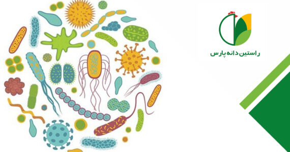 راهکارهای موجود برای تنظیم اکوسیستم مجرای گوارش